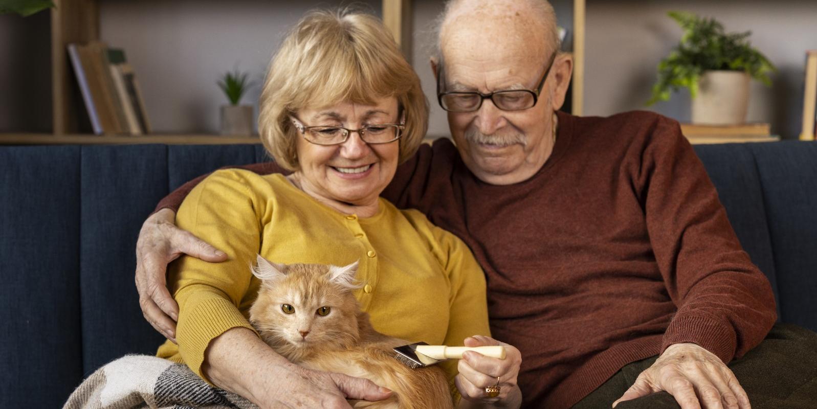 Глава Социального фонда рассказал, как будут расти пенсии в 2026 году